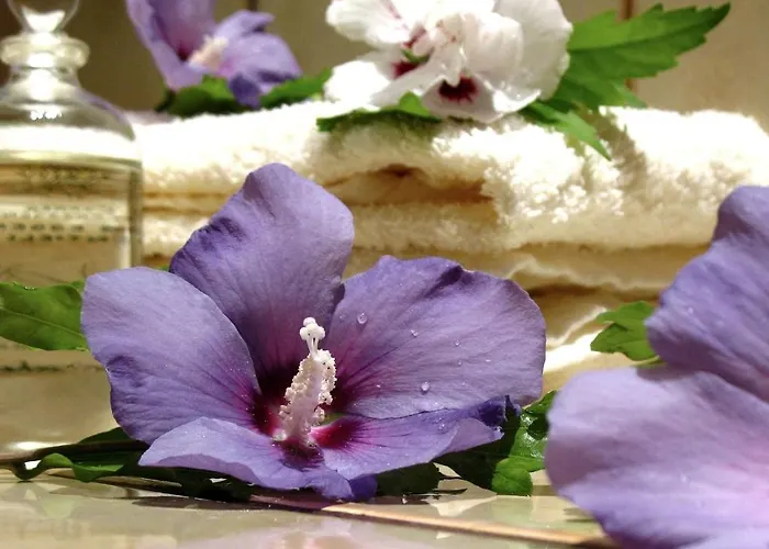 Apart Hotel Gera Gera